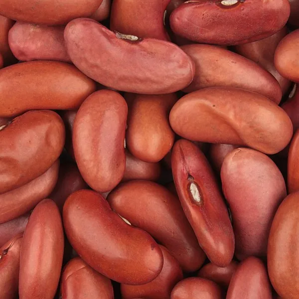 Red kidney beans